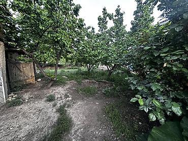 Продажа коттеджей и домов: 2 Дома с большим двором и хозпостройками: очок кана, баня, 4 сарая — 6