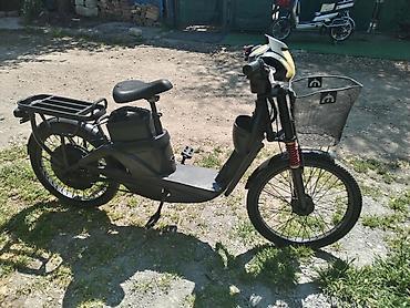 Ostali motocikli i skuteri: Električni skuter – kargo/utility tip - Boja: crna, niskog rama za — 10