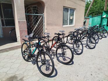 Городские велосипеды: Городской велосипед, Рама L (172 - 185 см), Новый