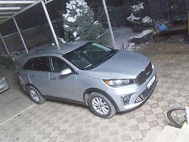 Kia: Kia Sorento: 2019 г., Кроссовер — 11