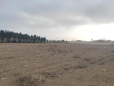 bakı ümid qəsəbəsi: 34 sot, Biznes üçün, Mülkiyyətçi, Kupça (Çıxarış) — 6