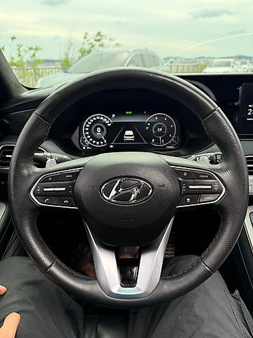 go park: Hyundai Palisade: 2021 г., 2.2 л, Автомат, Дизель, Кроссовер — 4