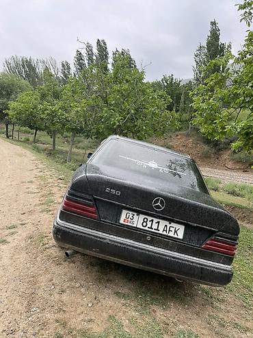 mersedes e class: Mercedes-Benz W124: 1992 г., 2.5 л, Механика, Дизель, Седан — 1