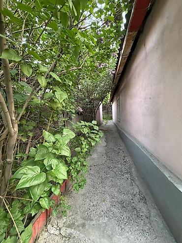 Продажа коттеджей и домов: Продаётся участок с домом и хозяйственными постройками. Описание — 3