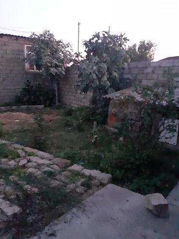 heyet evlerı: 5 otaqlı, 117 kv. m, Kredit yoxdur, Orta təmir — 2