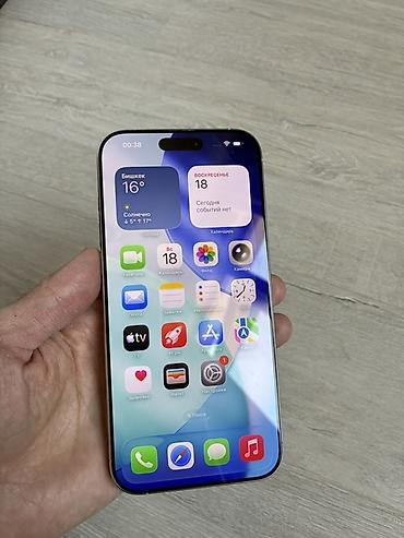 13 pro: IPhone 16 Pro Max, белый (Titanium) 256 гб физическая sim + eSIM Цикл — 1