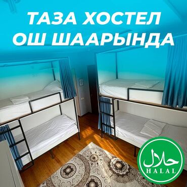дом тамчы: 🛏️ NOVO Хостели - ХАЛАЛ! ❤️ Ош шаарынын борборунда Адрес: Кадыркула