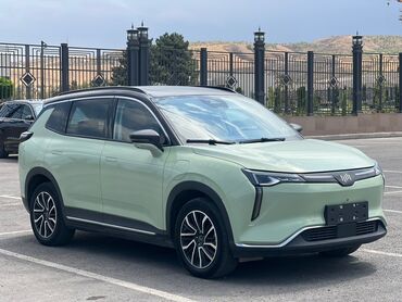 Weltmeister: Weltmeister W6, 2021 г., 170000 км, Передний, В наличии — 2