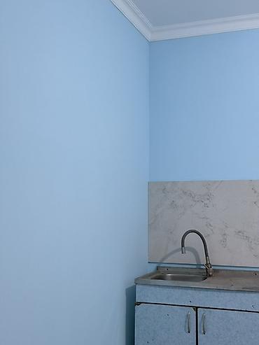 Коммерческая недвижимость: : 80 м², С ремонтом, С отдельным санузлом — 4