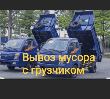 купить домик для кошки недорого: Вывоз мусора🗑️ Вывоз мусора 🗑️ Вывоз мусора🗑️ Вывоз мусора 🗑️ Вывоз