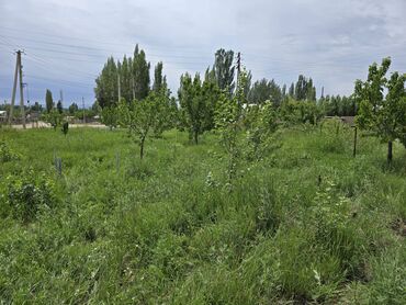 Продажа домов: Дом, 1 м², 3 комнаты, Собственник — 13