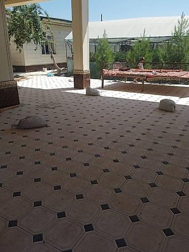 Тротуарная плитка: Тротуарная плитка (разные узоры и размеры) - Материал: вибролитая — 20