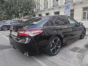 camry 75 se: Toyota Camry: 2020 г., 2.5 л, Автомат, Бензин, Седан — 4