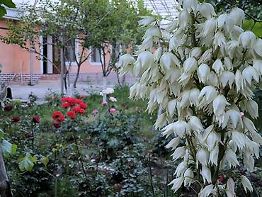 Продажа домов: Дом, 1441 м², 12 комнат, Собственник at lalafo.kg — 11 Продажа домов: Дом, 1441 м², 12 комнат, Собственник — 11