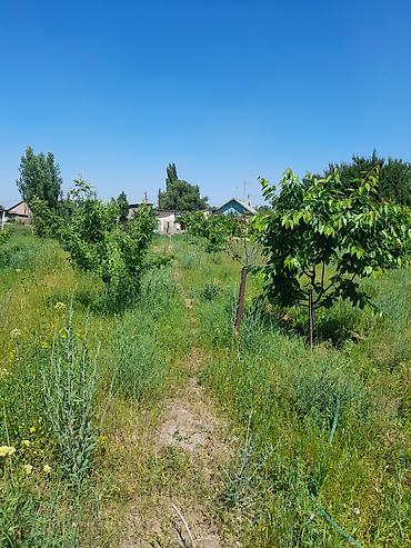 Продажа коттеджей и домов: Продаётся дом 5 комнат + времянка 3 комнаты, отопление электричество и — 10