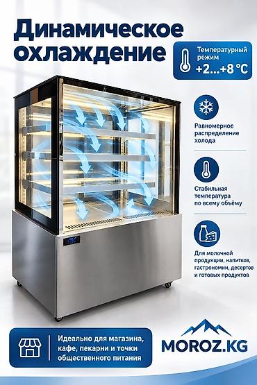 Холодильное оборудование: Для напитков, Кондитерские, Для молочных продуктов, Китай, Новый — 2