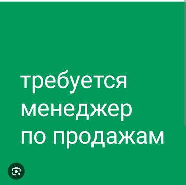 работа в бишкеке продовец: Талап кылынат Сатуу боюнча менеджер, Иш тартиби: Алты күндүк, Толук жумуш күнү, Карьера жактан көтөрүлүү