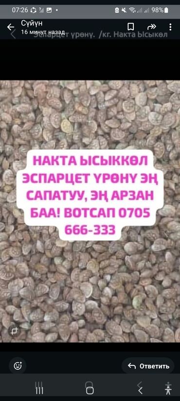 товары из ирана: Семена кормовых растений: Эспарцет, Платная доставка