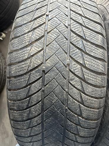 волковой: Шины 255 / 55 / R 20, Всесезонная, Б/у, Пара, Легковые, Япония, Bridgestone — 3