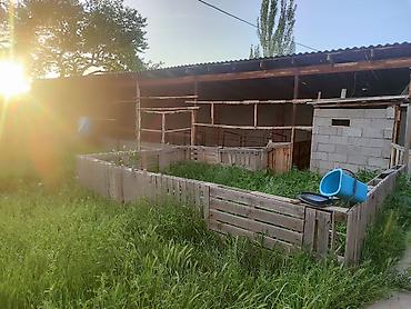 Продажа домов: 5 и более комнат, 100 м², 7 соток, Бирдик, Собственник — 9