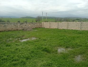 2 sot, Tikinti, Mülkiyyətçi, Kupça (Çıxarış) lalafo.az -da 2 sot, Tikinti, Mülkiyyətçi, Kupça (Çıxarış)