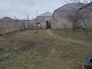 Продажа участков: 2800 соток, Для строительства, Собственник, Бялядия (муниципалитет) — 3