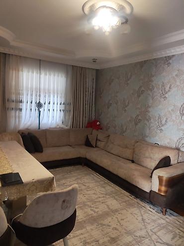 zig heyet evleri: 3 otaqlı həyət evi – rahat planlama və geniş həyət - Zal: iri ölçülü — 1