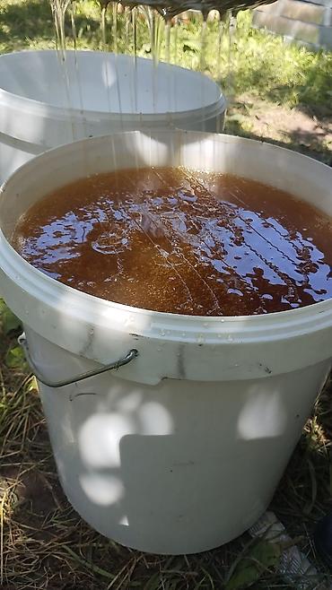 соки иссык куля: Продаются натуральный горный мёд 
🍯Иссык Кульский) 1kg 600с — 3