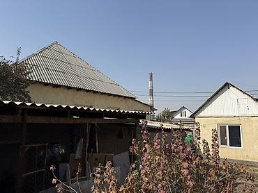 помещение ищу: 4 комнаты, 80 м², 4 соток, Джал, Собственник — 8
