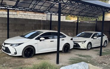лед на авто: Toyota Corolla: 2019 г., 1.8 л, Вариатор, Гибрид, Седан
