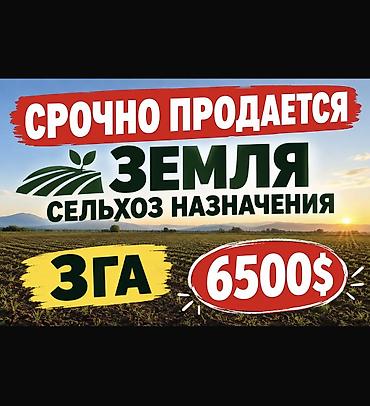 кара балта сарай: 300 соток, Для бизнеса, Договор купли-продажи — 1