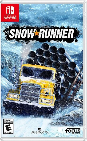 nintendo ds: Nintendo switch snow runner