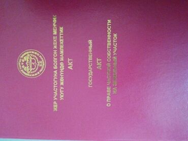 салон красоты продаю: 5 соток, Кызыл китеп