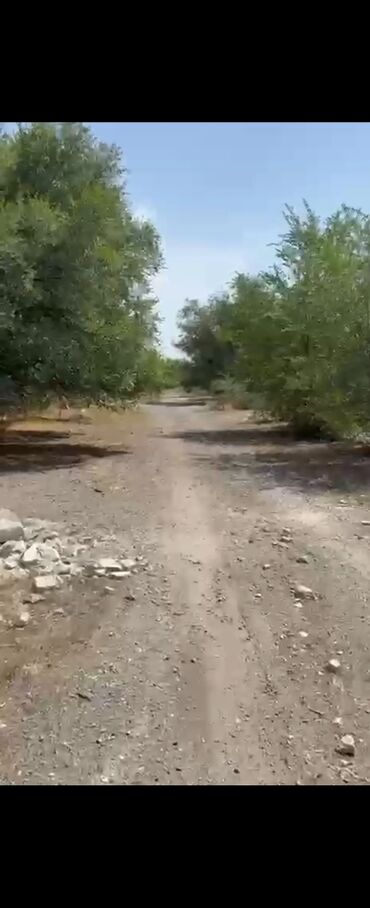 чалдовар продажа домов: 1600 соток, Бизнес үчүн, Кызыл китеп