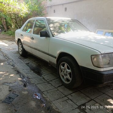 Mercedes-Benz: Mercedes-Benz W124: 1998 г., 2.5 л, Механика, Дизель, Седан