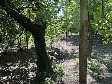 Үйлөр: 2 дома на 1 участке 9 соток в с. н. Ала-Арча г. Бишкек по — 6