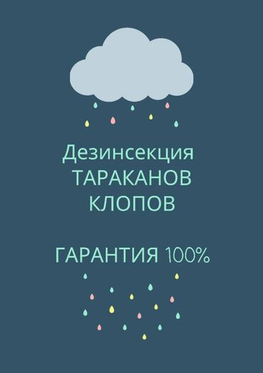 уборщица дома: Дезинфекциялоо, дезинсекциялоо | Канталалар, Таракандар, Бүргөлөр | Батирлер, Кафелер, дүкөндөр, Короолор