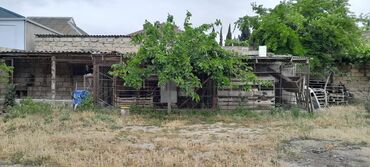 Həyət evləri və villaların satışı: Salam sexsi evimizi satib tecili kocuruk 8 sotda 5 otaqli kamunallari — 6