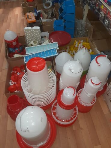 İnkubatorlar: İnkubator və ferma avadanlaqlari̇ inqubator yem qabi və su qabi -da lalafo.az — 12 İnkubatorlar: İnkubator və ferma avadanlaqlari̇ inqubator yem qabi və su qabi — 12