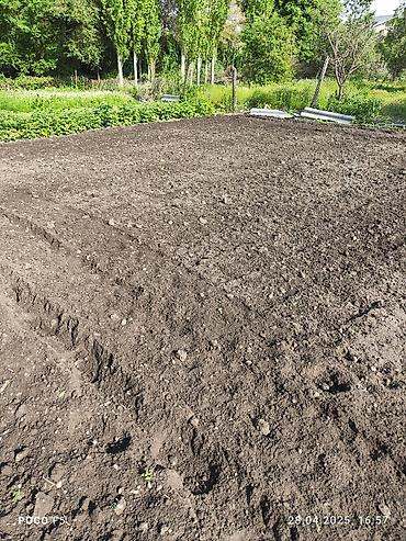 Другие услуги: Спашка огорода С дизельный мотоблок и бензиновый Цена договорная — 10