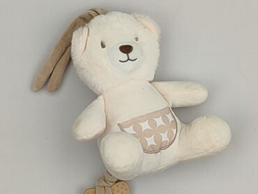 Mascot Teddy bear, condition - Perfect