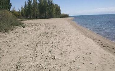 куран окутуу кафе: 800 соток, Курулуш — 1
