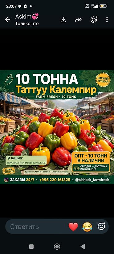 огурцы оптом бишкек: Самовывоз — 1