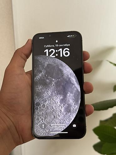 gt 220: IPhone 13 Pro, Б/у, 128 ГБ, Зеленый, Чехол — 4