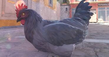 купить щенка немецкой овчарки из питомника: Сатам | Тооктор | Жумуртка туудуруу үчүн