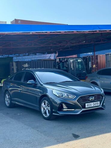 задний капот: Hyundai Sonata: 2019 г., 2 л, Типтроник, Газ, Седан