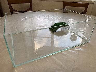 akvarium balaca: Şüşə teraryum/akvaterraryum – tısbağa və ya amfibiyalar üçün - Tam — 3
