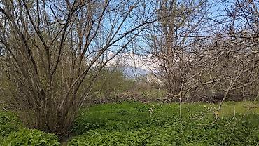 Torpaq sahələrinin satışı: 10 sot, Tikinti, Maklerlər narahat etməsin, Kupça (Çıxarış) — 1