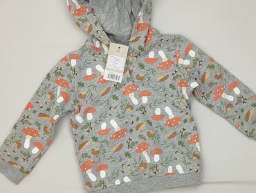 kurtka napapijri: Bluza, Lupilu, 6-9 miesięcy, stan - Idealny