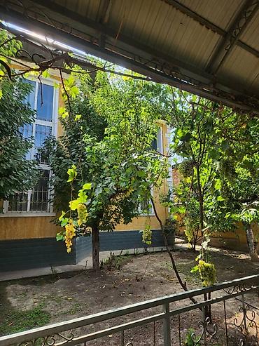 термальный: 330 м², 6 комнат и более, Без подселения — 1